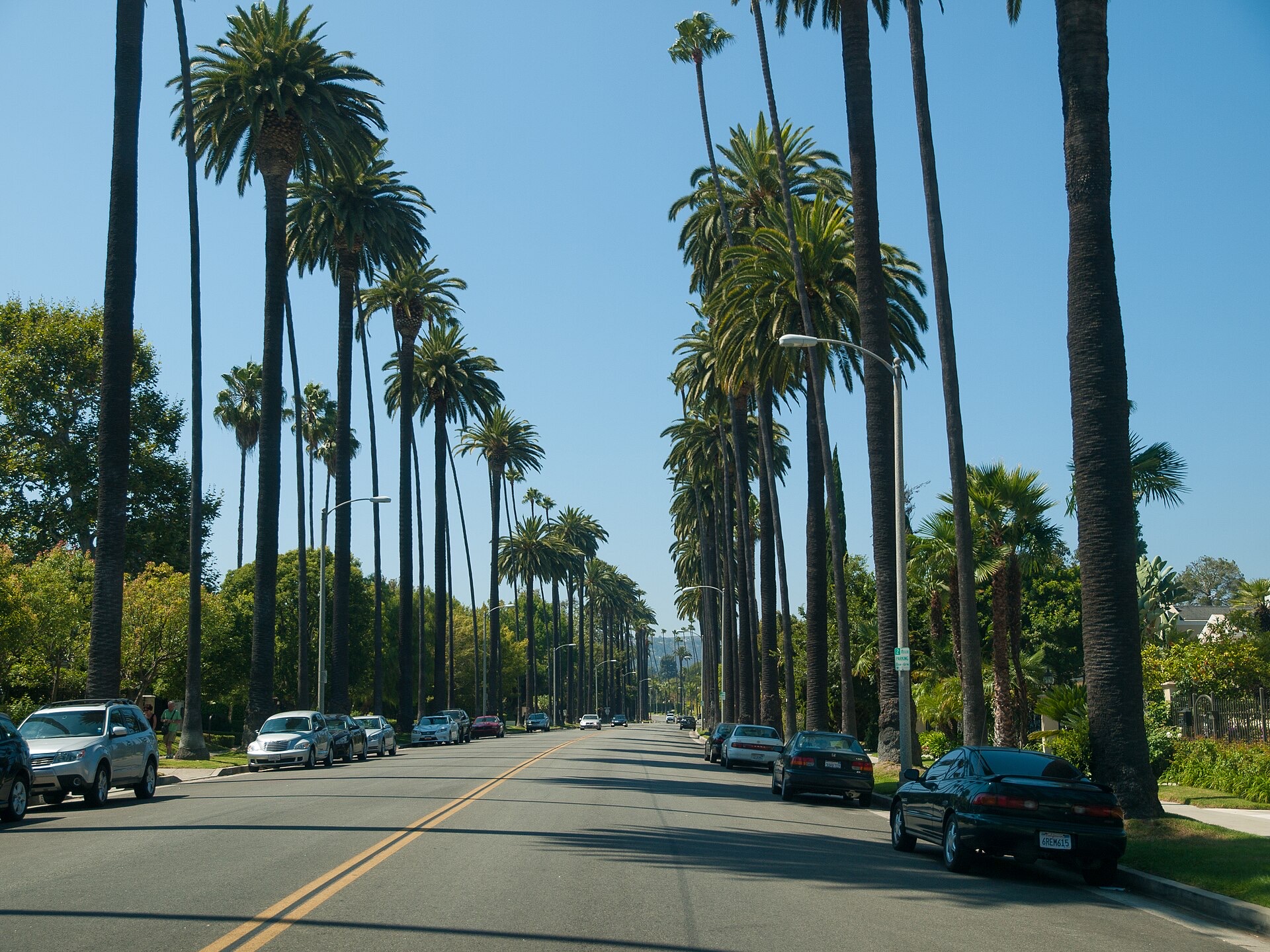 Rodeo Drive in Beverly Hills lined with tall palms under a clear sky